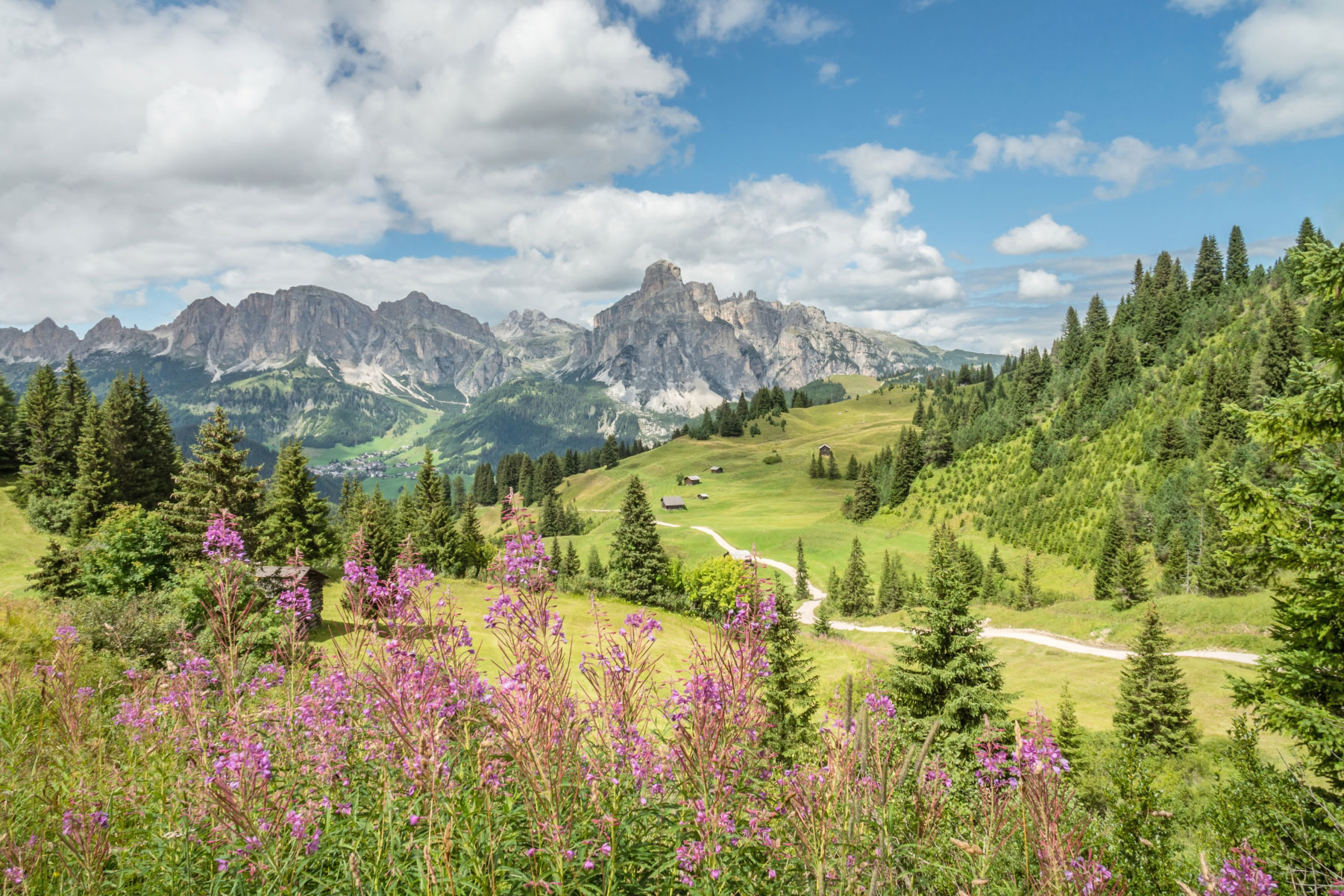 Alta Badia Sassongher By Paola Finali